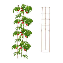 Soporte para plantas trepadoras, 150 cm, juego de 2, color marrón