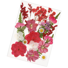 Natürliche getrocknete Blumen-Bastelmaterialien für-Rot