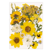 Natürliches DIY-Blumenkonservierungsset, Heimdekorationen,-Gelb
