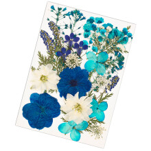 Premium-Bastelset mit gepressten Blumen und getrockneten-Blau