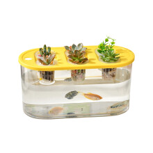Multiple Use Water Culture Box For Hydroponic Tulips-Yellow 2