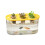 Multiple Use Water Culture Box For Hydroponic Tulips-Yellow 2 1