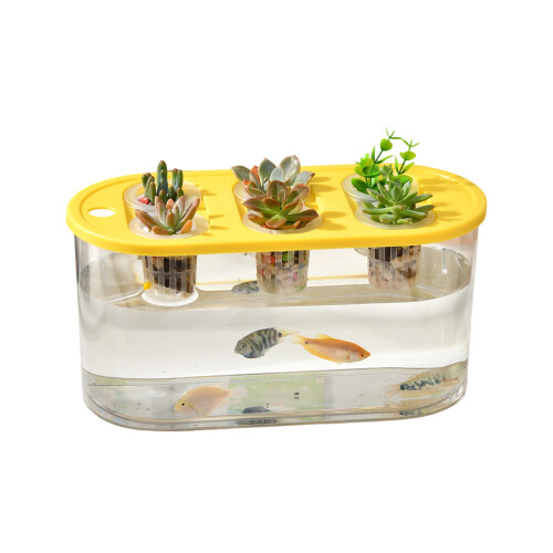 Multiple Use Water Culture Box For Hydroponic Tulips-Yellow 2
