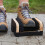 Boot Scraper with All-Round Brushes for Outdoor Cleaning 2