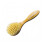 Methode Physiodermie Facial Brush 1