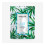 PAYOT MORNING MASK - WATER POWER 15x19ml 1