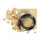 PHYTS - Creamy Eyeshadow ? Golden Sand 25gr 1