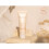 Phytoceane Eastern Garden Nourishing Hand Cream 50ml 1
