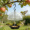 Dome Hanging Bird Feeder With Large Capacity Squirrels Proof 3