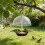 Dome Hanging Bird Feeder With Large Capacity Squirrels Proof 7