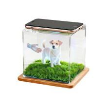 Vitrine de Projection d'hologramme en acrylique transparent,-6