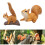 Eichhörnchen-Bäume, Huggers,-Kleines Eichhörnchen 1 3