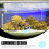 Pierres Lumineuses Décor Aquarium Jardin 4