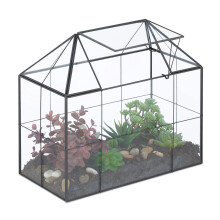 Terrarium in Glashausform für Zimmerpflanzen