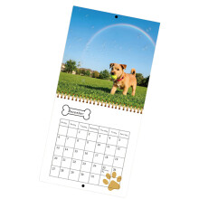 Twin Coil Binding Puppy Theme Calendar 2026 Wall Hanging Monthly