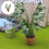 Child Safe Artificial Monstera Leaf Miniature Plant For 2