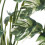 Child Safe Artificial Monstera Leaf Miniature Plant For 4