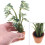 Child Safe Artificial Monstera Leaf Miniature Plant For 5