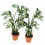 Child Safe Artificial Monstera Leaf Miniature Plant For 7