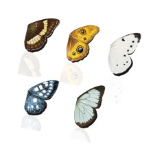 5Pcs Cartoon Magnetic Bookmarks Butterfly Magnetic Bookmarks