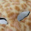 Foxes Wolf Mask Plush Cats Half Face Mask Eyemask Foxes-Blue 5