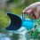 Fishing Rod Holder Rest Stand Rotating Rod Arm Protector-Black 5