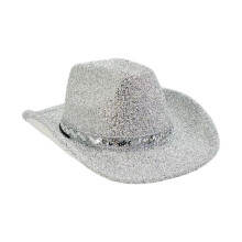 Stylish Glitter Powder Western Hat for Adult Unisex-Silver