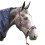 Whitaker Airflow Horse Headcollar and Leadrope Set 1