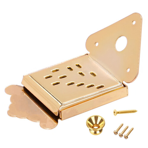 Cordier de mandoline de Type fermé, remplacement de cordier-Or
