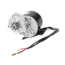 12V 250W Brush Motor with 9 Tooth Gears for Electric Scooter