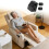 Premium Electric Chair Addition Greater Adaptability Secure 2