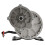 12V 250W Brushed Geared Motor Equipped with 9 Teeth Offering 5