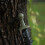 2Pcs Shelter Rod Protective Cover Set Static-as picture 2