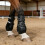 Light Weight Adjustable PU Shell Horse Tendon Boot-front legs L 6