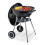 Barbecue in acciaio con coperchio e ripiano 1