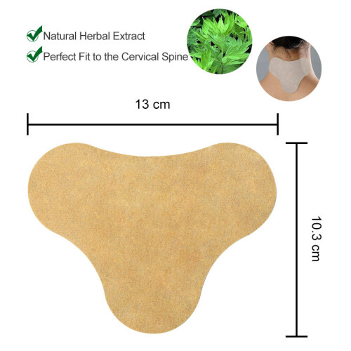 Pacote de gesso para vértebra cervical 12 peças 2
