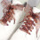 Lacets imprimés léopard, 2.5cm x 120cm de large,-couleur 120cm 7