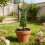 Easter Rabbit Topiary Green Artificial Rabbit Shape Topiary-3 6