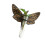 Support de plante en bois élégant avec des conceptions-ms9538 1