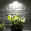 Human Body Induction Solar Light Garden Wall Light(Warm Light) 6
