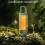 Rechargeable portable LED camping light/multi-functional flashlight (khaki) 4