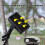 Octopus Style Solar Motion Sensor Waterproof Light Outdoor Smart Courtyard Light,White Light Black 4