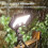 Octopus Style Solar Motion Sensor Waterproof Light Outdoor Smart Courtyard Light,White Light Black 5