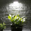 Red Copper Human Body Induction Solar Wall Light( White Light) 5