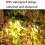 12 LED Solar Outdoor Railing Stair Square Wall Light(Black Shell-Warm Light) 5