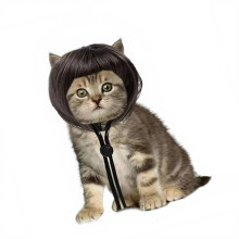Postiche Bob pour perruques de-Chat Bob aux oreilles ouvertes h