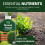 Vitax Vitax Buxus Feed Granular 1kg and Liquid 1L Set 5