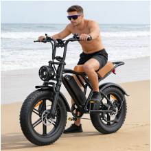 20" Electric Bike 1000W 48V 15.6Ah Mountain E-bike