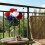 Artificial Patriotic Flower Simulation Plastic Flower For-Rose 6