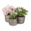 (Medium) Round Antique Wash Wicker Planter 1